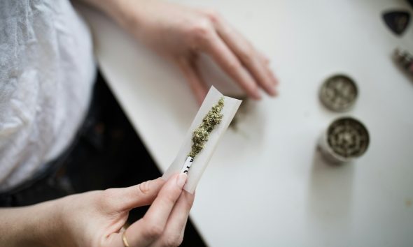 cannabis