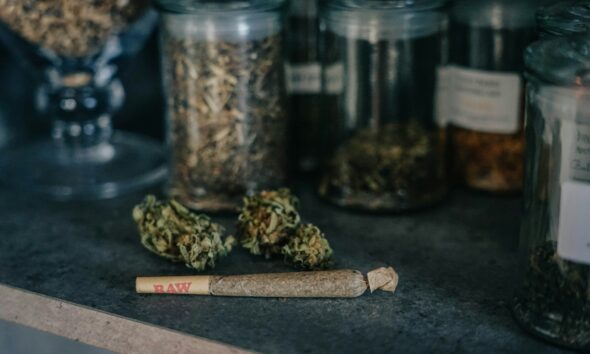 cannabis